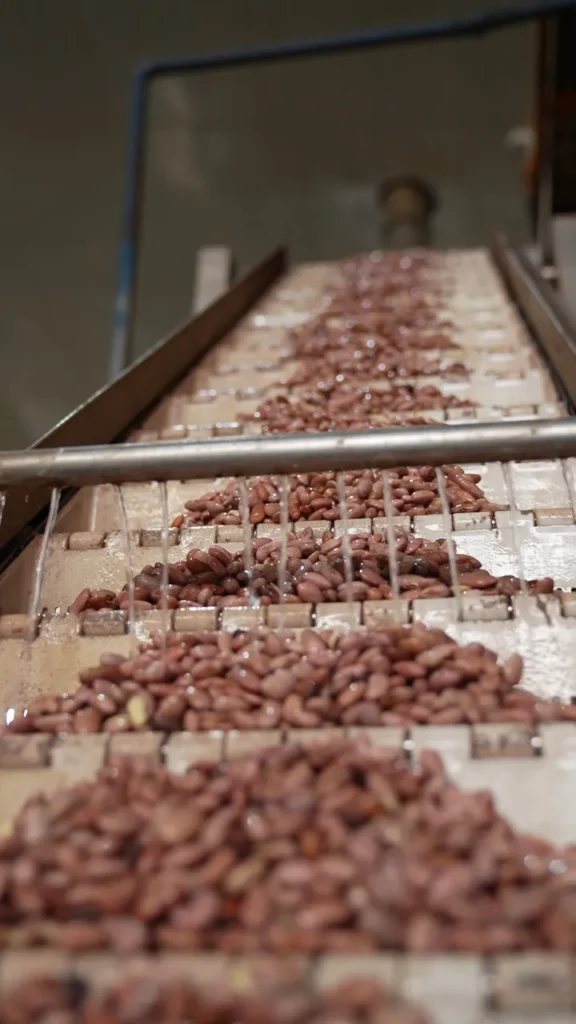 بازدید اعضای هیأت علمی موسسه پژوهشی علوم و صنایع غذایی از شرکت کشت و صنعت شیفته آرای شرق در راستای توسعه همکاری‌های دوجانبه