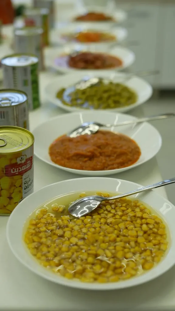 بازدید فرماندار مشهد از کارخانجات شیفته آرای شرق