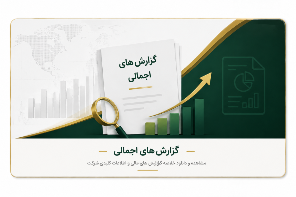 گزارش های اجمالی (گزارشات مالی)